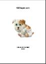 First page of K9Diaper catalog